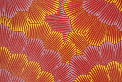  Joy Kngwarreye